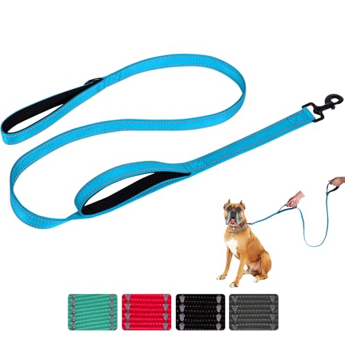 Aepeasti Hundeleine für mittelgroße bis große Hunde mit Zwei gepolsterten Griffen 5FT/6FT, Hundeleine mit Doppelgriff, reflektierende Trainingsleine, langlebige Verkehrsleine von aepeasti