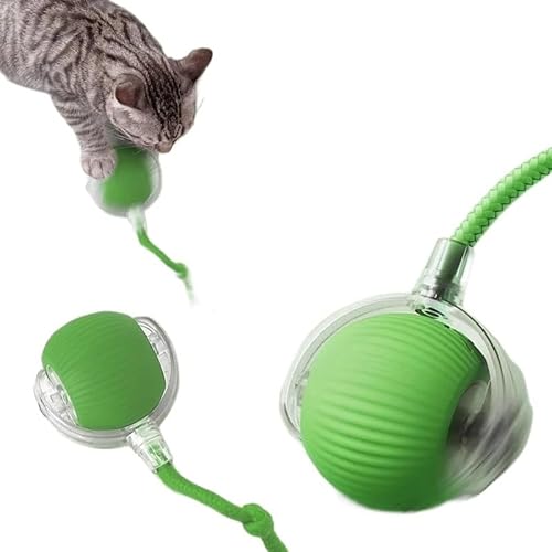 Aerensic Automatischer Rollball, interaktiver Ball, Katzenspielzeug, Heimtierbedarf, Training for Hunde und Katzen zur Nachahmung von Ratten, wiederaufladbare Produkte(1pcs-Grey-Rope) von Aerensic