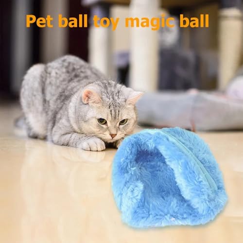 Aerensic Rolling Ball Spielzeug Aktivierungsball Hund Katze Interaktiv Lustiges Kauen Plüsch Elektrischer Rolling Ball Haustier Hund Katze Spielzeug Zubehör Aerensic Rolling Ball Spielzeug Aktivierungsball Hund Katze Interaktiv Lustiges Kauen Plüsch Elektrischer Rolling Ball Haustier Hund Katze Spielzeug Zubehör von Aerensic
