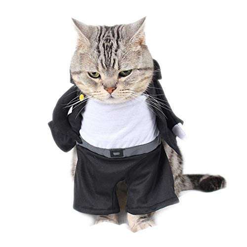 Aeromdale Katze Kostüme Cosplay Anzug für Haustiere Lustige Katze Hund Weihnachten Halloween Kleidung Tierarzt Chat - # A - L von Aeromdale