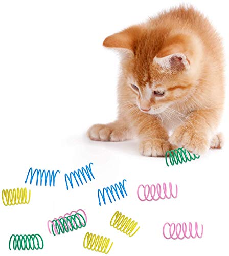 Aestm 24 Stücke Bunte Frühling Katzen Spielzeug, Kunststoff Spiralfedern Robustes Interaktives Spielzeug für Katze Kätzchen Haustiere Neuheit Geschenk von Aestm
