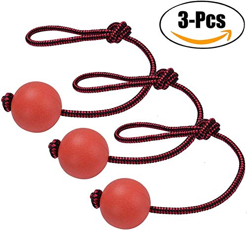 Aestm 3 Stück Wurfball Hund, Elastische Hundespielzeug Ball mit Seil, Naturgummiball Seil, Kleine Hunde Spielzeug, Spielzeug für Hunde Aestm 3 Stück Wurfball Hund, Elastische Hundespielzeug Ball mit Seil, Naturgummiball Seil, Kleine Hunde Spielzeug, Spielzeug für Hunde von Aestm