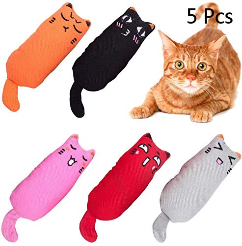 Aestm 5 Stück Niedlich Plüsch Daumen Geformt Katzenspielzeug Katzenminze Set, Spielzeug Katze, Catnip Toys Set für Katze und Kätzchen Aestm 5 Stück Niedlich Plüsch Daumen Geformt Katzenspielzeug Katzenminze Set, Spielzeug Katze, Catnip Toys Set für Katze und Kätzchen von Aestm