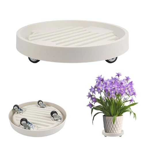 Pflanzenroller Rund 22cm Kunststoff Wasserdicht Rollbrett Pflanzen mit 4 Universalrollen Rutschsicheres Rollbrett Blumenroller Belastbar 75kg für Drinnen und Draußen für den Transport von Topfpflanzen Pflanzenroller Rund 22cm Kunststoff Wasserdicht Rollbrett Pflanzen mit 4 Universalrollen Rutschsicheres Rollbrett Blumenroller Belastbar 75kg für Drinnen und Draußen für den Transport von Topfpflanzen von AetherAurora