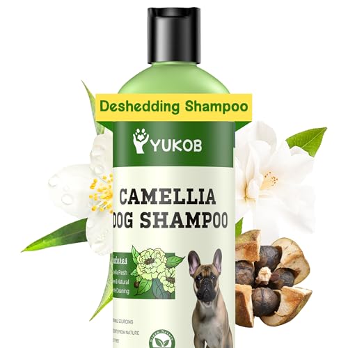Hundeshampoo gegen Juckreiz und Hautirritationen – Naturales Shampoo für Haustiere mit Camellienöl für empfindliche Haut, Reduzierung der Fellausfälle | 473 ml (Kurzhaarhund) von Aéttézoe