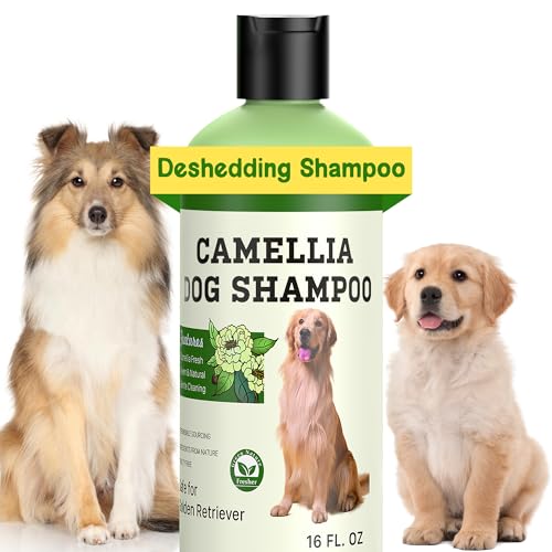 Hundeshampoo gegen Juckreiz und Hautirritationen – Naturales Shampoo für Haustiere mit Camellienöl für empfindliche Haut, Reduzierung der Fellausfälle | 473 ml (Langhaarhund) von Aéttézoe