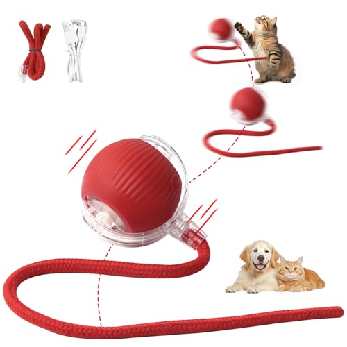 Interaktives Katzenspielzeug Katzenball Elektrisch Aufladen über USB Magic Ball Hund Automatisch Rollende 3 Arbeitsmodi beweglicher Katzenball interaktiver spielball mit Schwanz für Katzen und Hunde Interaktives Katzenspielzeug Katzenball Elektrisch Aufladen über USB Magic Ball Hund Automatisch Rollende 3 Arbeitsmodi beweglicher Katzenball interaktiver spielball mit Schwanz für Katzen und Hunde von Afaneep