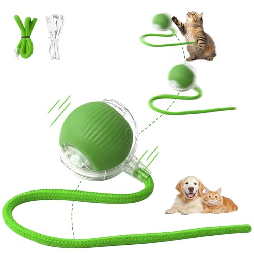 Interaktives Katzenspielzeug Katzenball Elektrisch Aufladen über USB Magic Ball Hund Automatisch Rollende 3 Arbeitsmodi beweglicher Katzenball interaktiver spielball mit schwanz für Katzen Hunde(Grün) Interaktives Katzenspielzeug Katzenball Elektrisch Aufladen über USB Magic Ball Hund Automatisch Rollende 3 Arbeitsmodi beweglicher Katzenball interaktiver spielball mit schwanz für Katzen Hunde(Grün) von Afaneep