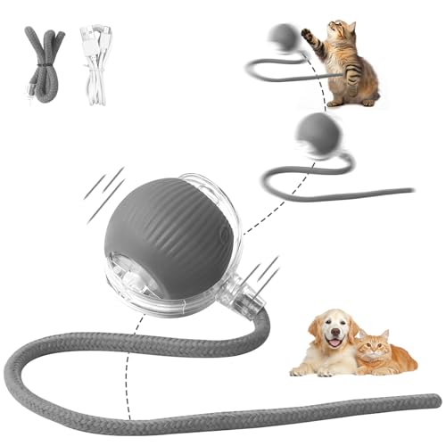 Interaktives Katzenspielzeug Katzenball Elektrisch Aufladen über USB Magic Ball Hund Automatisch Rollende 3 Arbeitsmodi beweglicher Katzenball interaktiver spielball mit schwanz für Katzen Hunde(Grau) Interaktives Katzenspielzeug Katzenball Elektrisch Aufladen über USB Magic Ball Hund Automatisch Rollende 3 Arbeitsmodi beweglicher Katzenball interaktiver spielball mit schwanz für Katzen Hunde(Grau) von Afaneep
