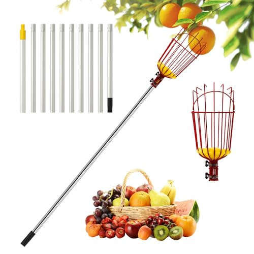 Obstpflücker, Afenau 3.7M Apfelpflücker mit 10 Abschnitte Teleskopstiel, Einfach zu Bedienen Kirschenpflücker, Pflückhilfe, Pflaumenpflücker, Obstpflücker für Kirschen und Reaching Inaccessible Places von Afenau