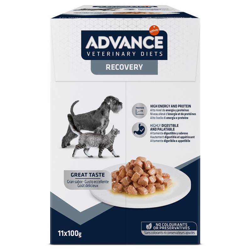 Advance Veterinary Diets Recovery - Sparpaket: 22 x 100 g von Affinity Advance Veterinary Diets