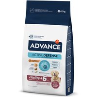Advance Maxi Senior - 12 kg von Affinity Advance
