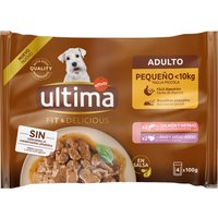 Ultima Fit & Delicious Mini Hund Adult 44 x 100 g - Lachs & Truthahn von Affinity Ultima