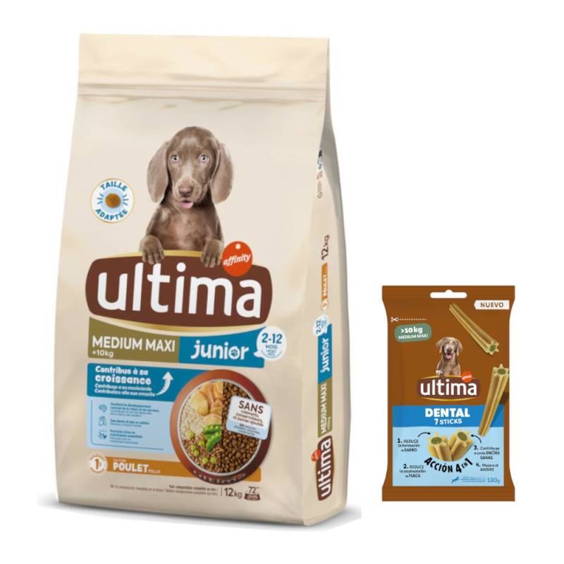 Ultima Trockenfutter + 180 g Dental Sticks Medium / Maxi gratis! - Medium / Maxi Junior Huhn 12 kg von Affinity Ultima