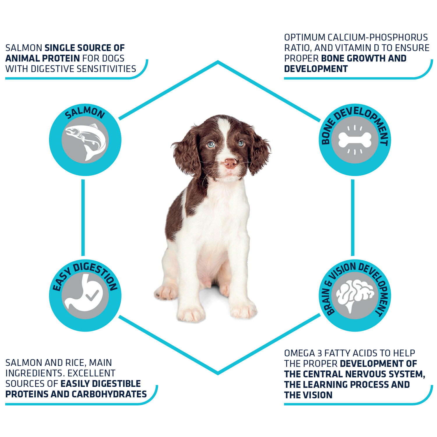 Affinity Advance Puppy Sensitive Lachs & Reis - 12 kg von Affinity