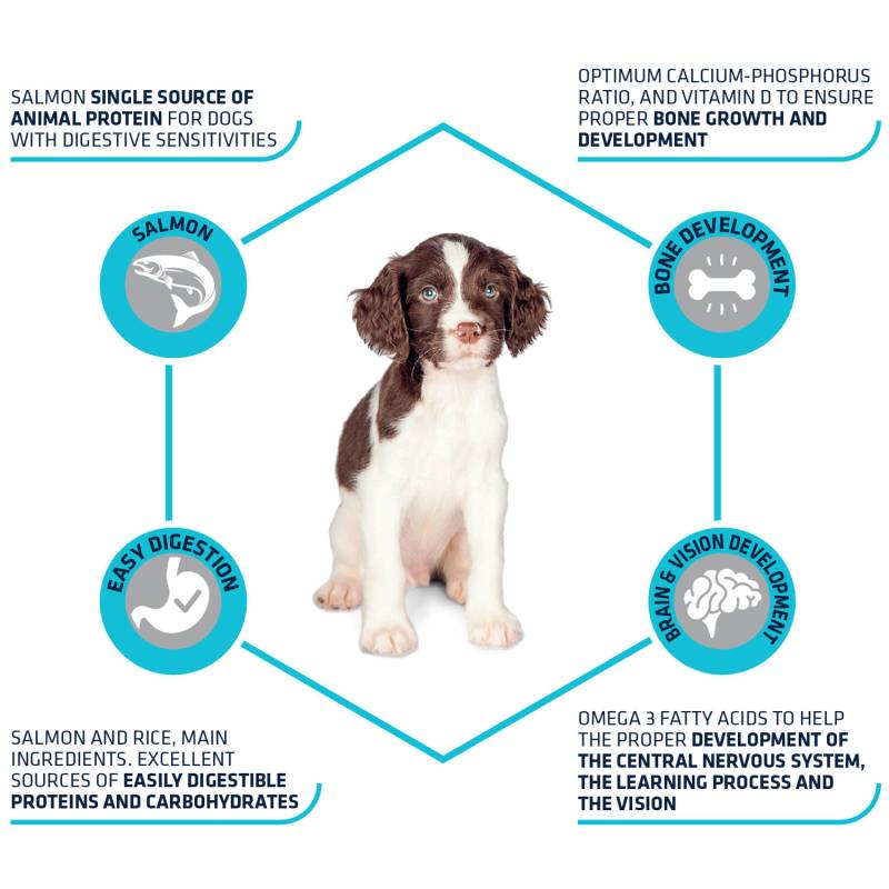 Affinity Advance Puppy Sensitive Lachs & Reis - 12 kg von Affinity