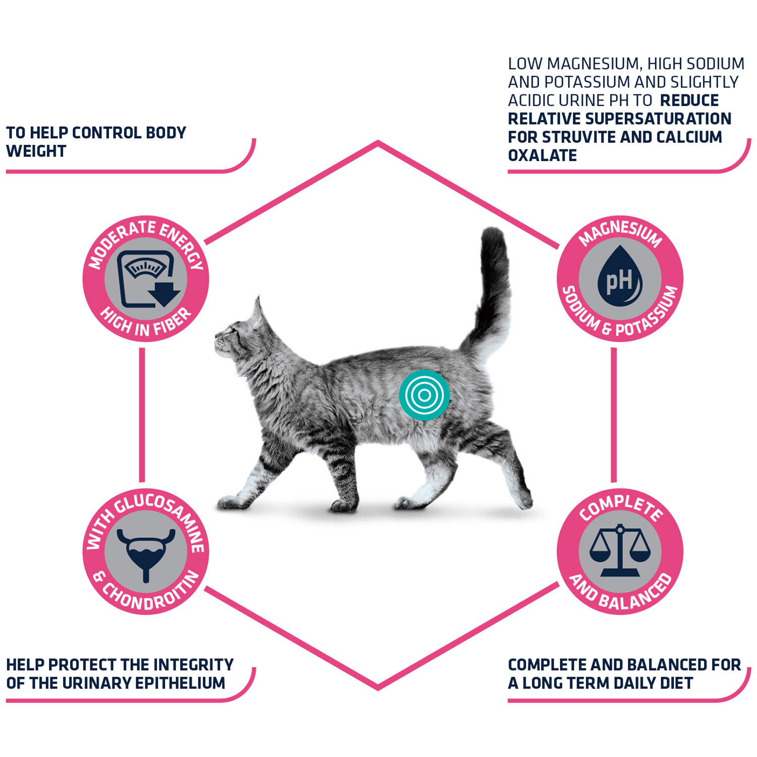 Affinity Advance Vet. Diets Urinary Sterilized Low Calorie Katze - 2,5 kg von Affinity