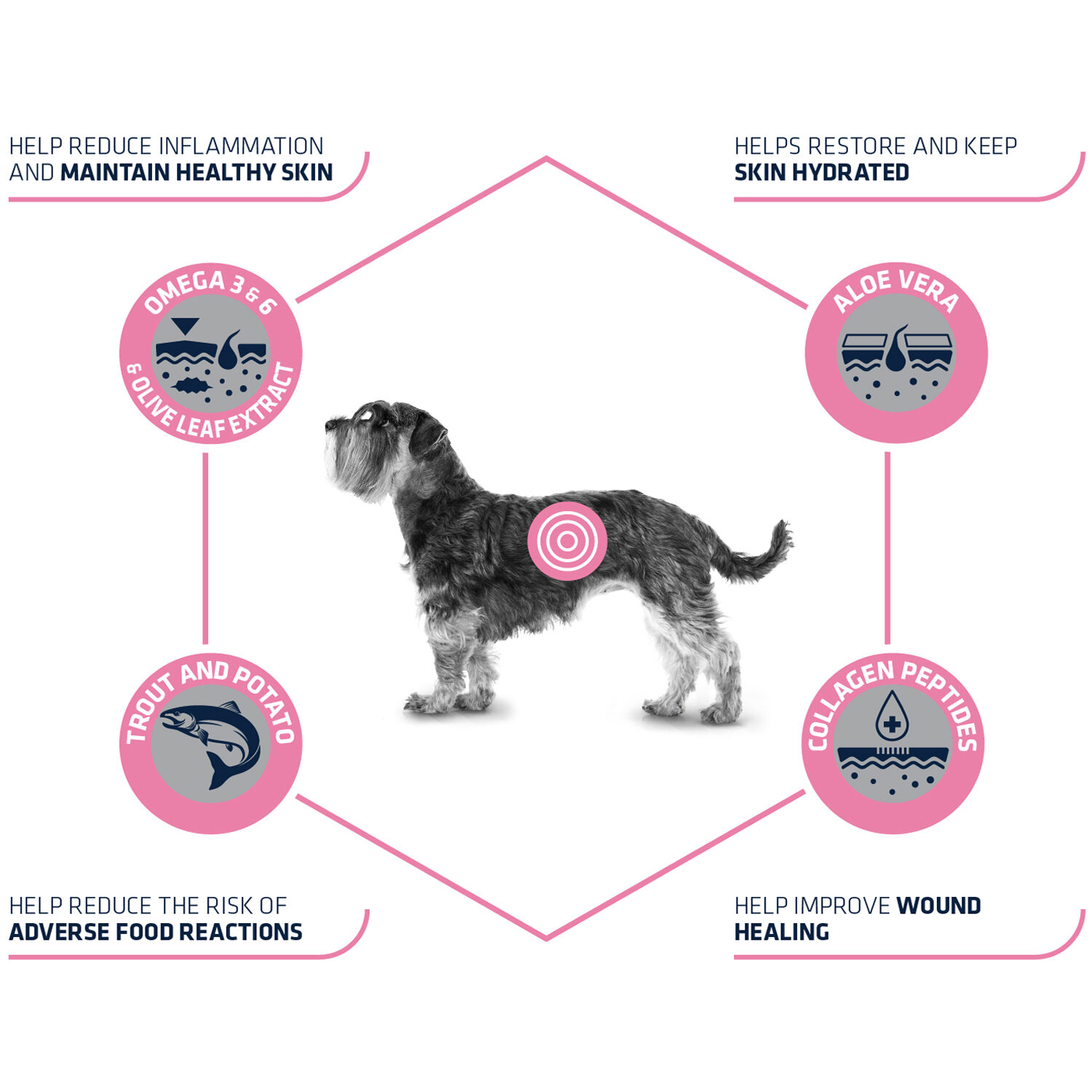 Affinity Advance Veterinary Diets Atopic Mini - 1,5 kg von Affinity