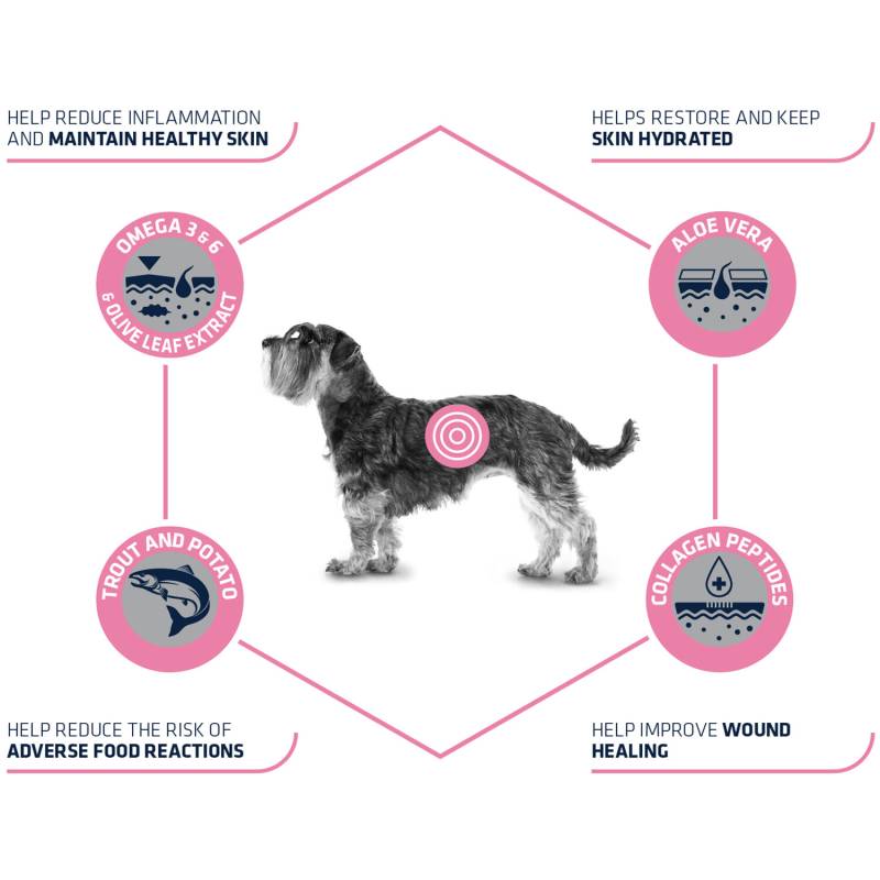 Affinity Advance Veterinary Diets Atopic Mini - 1,5 kg von Affinity