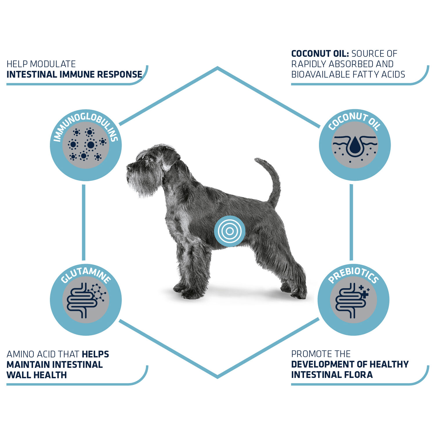 Affinity Advance Veterinary Diets Gastroenteric Hund - 12 kg Affinity Advance Veterinary Diets Gastroenteric Hund - 12 kg von Affinity