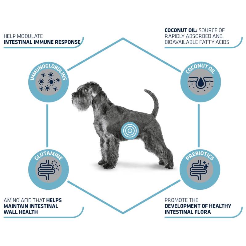Affinity Advance Veterinary Diets Gastroenteric Hund - 12 kg Affinity Advance Veterinary Diets Gastroenteric Hund - 12 kg von Affinity
