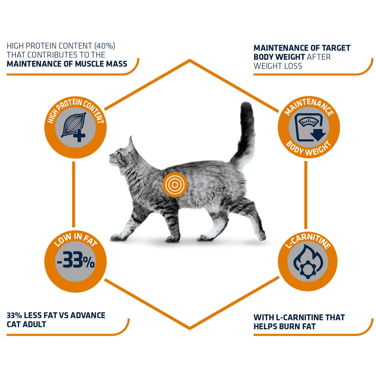 Affinity Advance Veterinary Diets Weight Balance Katze - 8 kg von Affinity