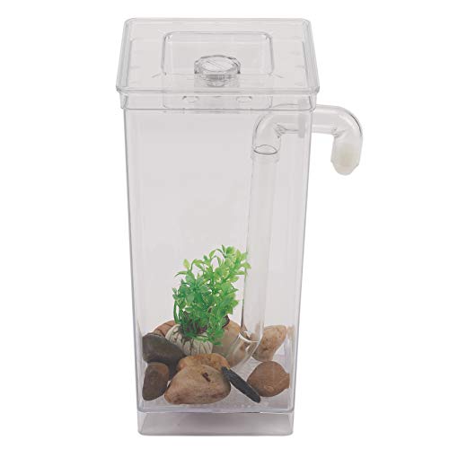 Aflytep LED Mini-Fischreservoir für Aquarium, Reinigung, Aquarium, für Büro, Dekoration, Haustierzubehör von Aflytep