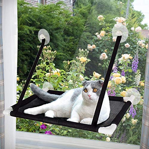 Afufu Katzen Fensterplätze, Katzen Zubehör, Fensterplatz Window Lounger Katzen Hängematte für Kletterwand Katzen-Miezekatze 10kg von Afufu