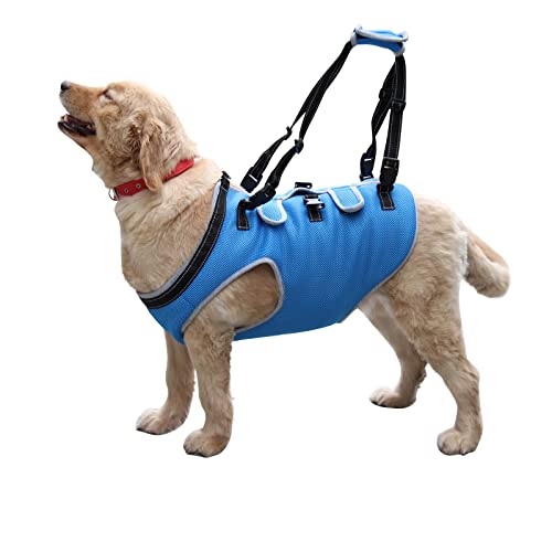 Afuwarm Hundegeschirr, Haustiere Körperunterstützung Reha Weste, Verstellbare Atmungsaktive Sling Straps für Alt, Behinderte, Gelenkverletzungen, Arthritis, Hilfe für Hunde Spaziergang (Blau, XL) von Afuwarm