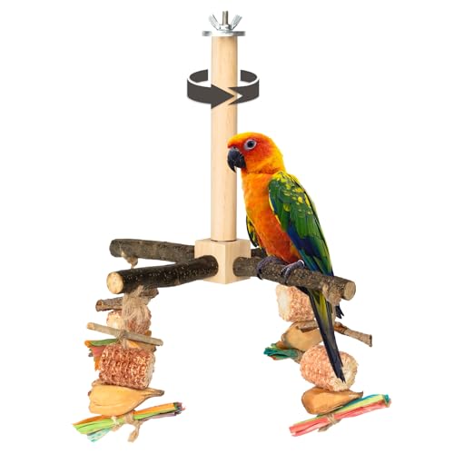 Agape 360° Interaktives rotierendes Papageien-Sitzstange, natürlicher Holzständer für kleine und mittelgroße Vögel, Vogelkäfigzubehör mit Laufrad für Sittiche, Nymphensittiche, Lovebirds, Conures, von Agape