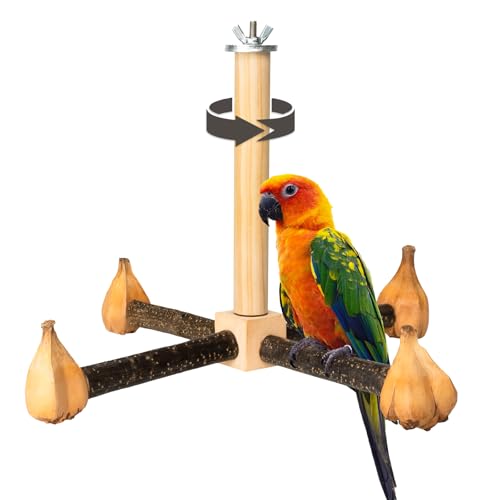 Agape Rotierender Papageien-Sitzstange, natürlicher Holzständer für kleine und mittelgroße Vögel, Vogelkäfigzubehör mit Laufrad für Sittiche, Nymphensittiche, Nymphensittiche, Sittiche, Sittiche, von Agape