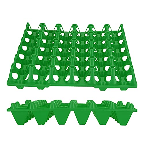 5pcs Plastikeizflat, 30 Zellkisten Halterschale für Hühnereier wiederverwendbarer Stapelbehälter für die Organisation Bauernhäuser Transportmittel (Grün) von Agatige