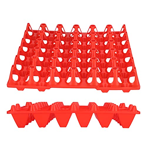 5pcs Plastikeizflat, 30 Zellkisten Halterschale für Hühnereier wiederverwendbarer Stapelbehälter für die Organisation Bauernhäuser Transportmittel (Rot) von Agatige