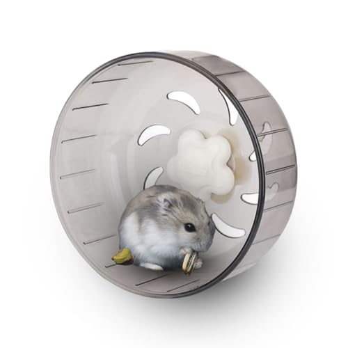 Hamster Rad, 13cm/5,11 Zoll Kleintier Übungsrad Leises Laufrad für Gerbil Zwerghamster Ratte Mäuse, Hamster Laufrad Spielzeug rutschfeste Transparent Laufscheibe für Eichhörnchen Chinchillas Haustier Hamster Rad, 13cm/5,11 Zoll Kleintier Übungsrad Leises Laufrad für Gerbil Zwerghamster Ratte Mäuse, Hamster Laufrad Spielzeug rutschfeste Transparent Laufscheibe für Eichhörnchen Chinchillas Haustier von Agatige