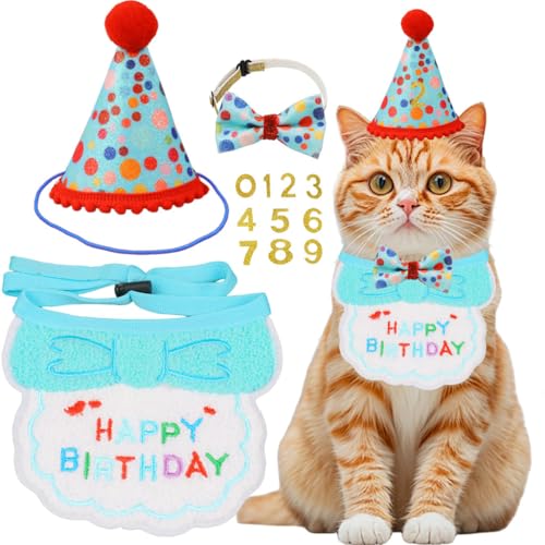 AgoumLux Geburtstagsparty-Zubehör für Katzen, Mädchen, Jungen, Katze, Kätzchen, Geburtstag, Bandana, Hut, Zahlen, Dekorationen, Outfit-Set, Hellblau AgoumLux Geburtstagsparty-Zubehör für Katzen, Mädchen, Jungen, Katze, Kätzchen, Geburtstag, Bandana, Hut, Zahlen, Dekorationen, Outfit-Set, Hellblau von AgoumLux