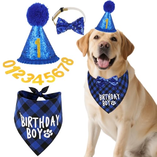 AgoumLux Hunde-Geburtstagsparty-Zubehör, Hunde-Geburtstags-Bandana und Partyhut, Set mit Zahlen, Fliege, Halsband für kleine, mittelgroße und große Haustiere, Blau, Größe S AgoumLux Hunde-Geburtstagsparty-Zubehör, Hunde-Geburtstags-Bandana und Partyhut, Set mit Zahlen, Fliege, Halsband für kleine, mittelgroße und große Haustiere, Blau, Größe S von AgoumLux