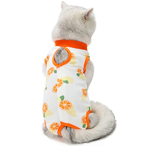 AgoumLux Katzenbody Nach Op Kastration für Katze Body für Operation Leckschutz Katzenbekleidung Recovery Kleidung Baumwolle, Orange, L AgoumLux Katzenbody Nach Op Kastration für Katze Body für Operation Leckschutz Katzenbekleidung Recovery Kleidung Baumwolle, Orange, L von AgoumLux