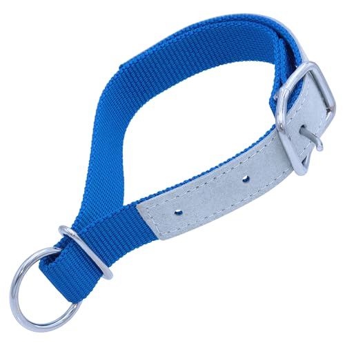 Agrarflora Halsriemen für Schafe - verstellbares Ziegen Halsband - mit Leder verstärkt - Schafshalsband mit Schnalle und Ring - Robustes Ziegenhalsband aus Nylon - Farbe: Blau, Länge: 60cm von Agrarflora