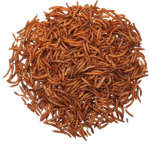 Agrarshop Mehlwürmer 10 kg Vogelfutter Wintervogelfutter Nahrungsergänzung Agrarshop Mehlwürmer 10 kg Vogelfutter Wintervogelfutter Nahrungsergänzung von Agrarshop
