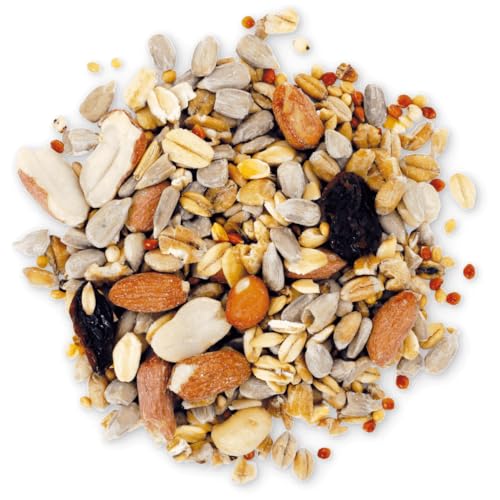 Agrarshop Schalenlos Eco 25 kg Vogelfutter Ganzjahresfutter Gartenvögel Agrarshop Schalenlos Eco 25 kg Vogelfutter Ganzjahresfutter Gartenvögel von Agrarshop