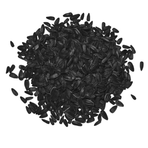 Agrarshop Sonnenblumenkerne schwarz 18,5 kg Vogelfutter Ganzjahresfutter Agrarshop Sonnenblumenkerne schwarz 18,5 kg Vogelfutter Ganzjahresfutter von Agrarshop