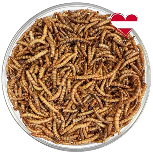 Agrarzone Mehlwürmer getrocknet - Premium Insekten Snack für Vögel, Fische, Nager, Igel & Reptilien - Proteinreiches Wildvogelfutter - Vogelfutter Wildvögel ganzjährig (1 kg) von Agrarzone