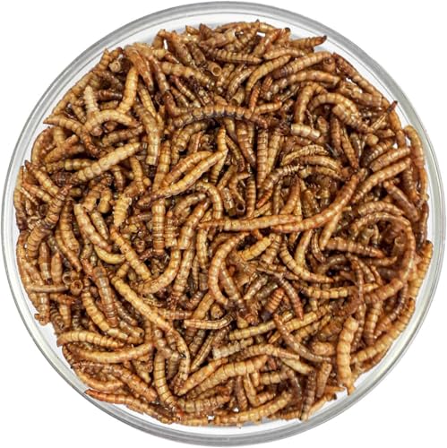 Agrarzone Mehlwürmer getrocknet - Premium Insekten Snack für Vögel, Fische, Nager, Igel & Reptilien - Proteinreiches Wildvogelfutter - Vogelfutter Wildvögel ganzjährig (1 kg) von Agrarzone