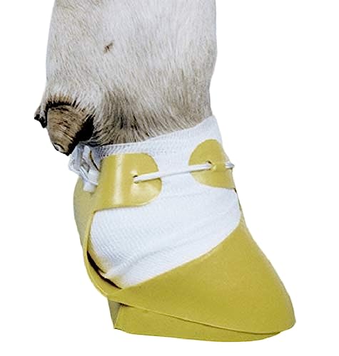 Agritura Klauenschuh SHOOF,mittel-Linke Ausführung - A01253 Agritura Klauenschuh SHOOF,mittel-Linke Ausführung - A01253 von Agritura