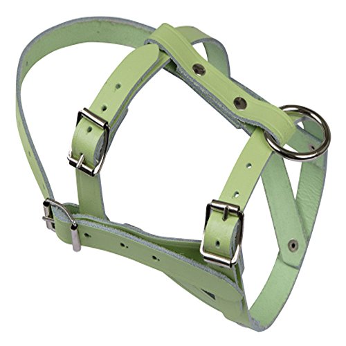 Agritura Kopfhalfter für Schafe und Böcke,Leder/weiß - A01195 Agritura Kopfhalfter für Schafe und Böcke,Leder/weiß - A01195 von Agritura