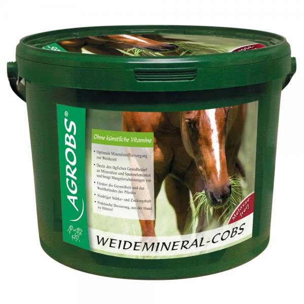 Agrobs Weidemineral-Cobs 3kg Passend für die Weidezeit Agrobs Weidemineral-Cobs 3kg Passend für die Weidezeit von Agrobs