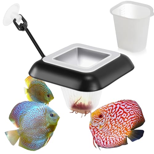 3-in-1 Futterring Aquarium Quadratischer Wurm Futterring Aquarium Lebendfutter Futterring Aquarium Zubehoer Blutwurm-Futternapf für Goldfische, Buntbarsche, Guppys 3-in-1 Futterring Aquarium Quadratischer Wurm Futterring Aquarium Lebendfutter Futterring Aquarium Zubehoer Blutwurm-Futternapf für Goldfische, Buntbarsche, Guppys von AhLmA