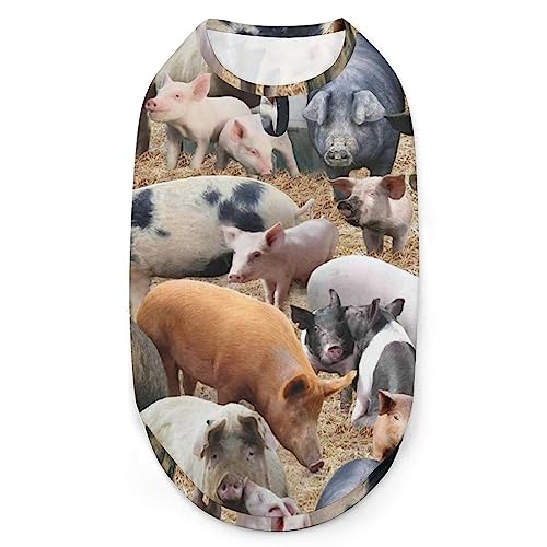 Schweine-Hunde-Shirts, Sommer-Haustier-T-Shirts, weiches, ärmelloses Tank-Top, Haustier-Kleidung für kleine Welpen und Katzen Schweine-Hunde-Shirts, Sommer-Haustier-T-Shirts, weiches, ärmelloses Tank-Top, Haustier-Kleidung für kleine Welpen und Katzen von Ahdyr