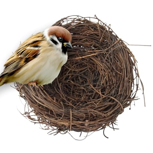 5 Stück Rattan Vogelnest | Künstliches Vogelnest | Handgefertigte Vogelnester | Handgefertigter Gewebter Vogelkäfig | Simulation Zweig-Vogelhäuser | Für Ostern Tischdeko Basteln Foto Requisiten von Ahuuen