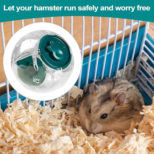 Ahuuen Hamster Laufball - Hamster Trainingsrad, Durchsichtig Und Atmungsaktiv,Aktivitätsrad Und Käfigzubehör Für Kleintiere, Für Kinder, Erwachsene Familien Zur Förderung Der Spielzeit Ahuuen Hamster Laufball - Hamster Trainingsrad, Durchsichtig Und Atmungsaktiv,Aktivitätsrad Und Käfigzubehör Für Kleintiere, Für Kinder, Erwachsene Familien Zur Förderung Der Spielzeit von Ahuuen